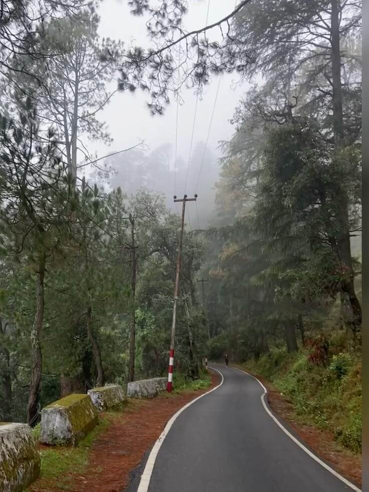 Kausani to Binsar